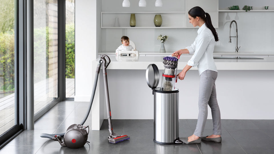 Aspiradora Dyson Big Ball Parquet 2