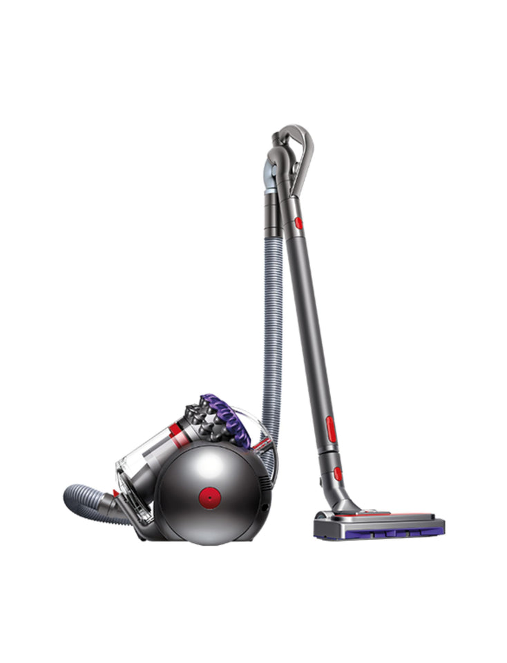 Aspiradora Dyson Big Ball Parquet 2